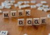 Elon Musk’s DOGE: A Promising Idea Misfired by a Slash-and-Burn Approach Elon Musk's DOGE