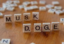 Elon Musk’s DOGE: A Promising Idea Misfired by a Slash-and-Burn Approach Elon Musk's DOGE